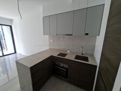 The Florence Residences (D19), Apartment #434951601